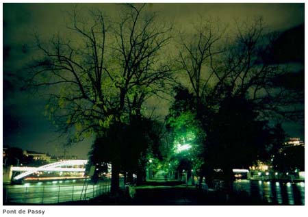 arbre