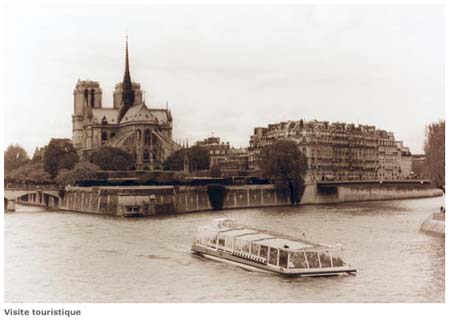 idcseine