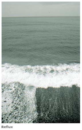 reflux
